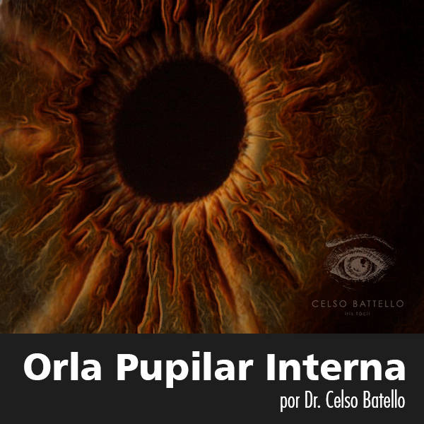 Orla Pupilar Interna - OPI