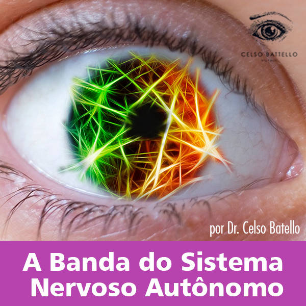 A Banda so Sistema Nervoso Autônomo
